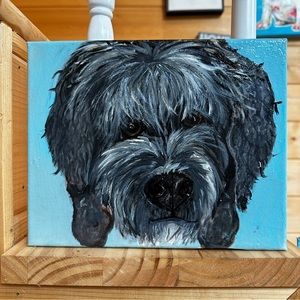 FOR SALE RIKKISRATPACK  portrait portugese waterdog labradoodle Tibetan Terrier